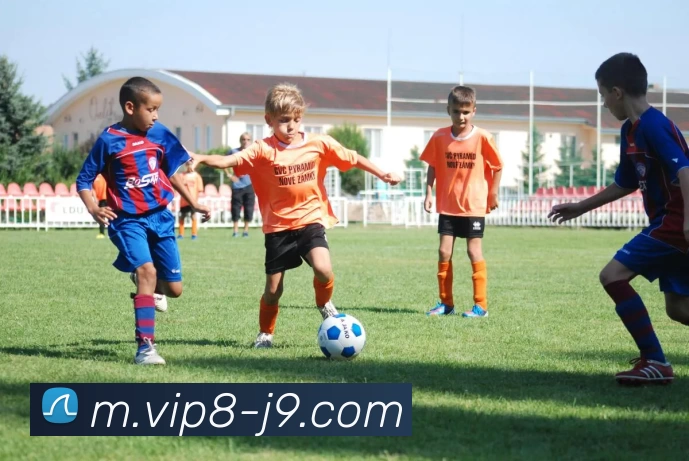 九游会APP 封面图